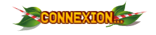 Connexion au Site